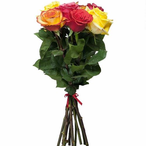 Заказать 7 разноцветных роз с доставкой по Вышнему Волочёку